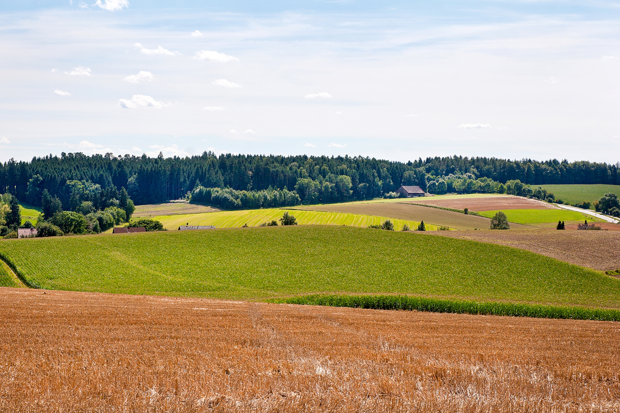 Landschaft Feld Wald Himmel Tuentenhausen