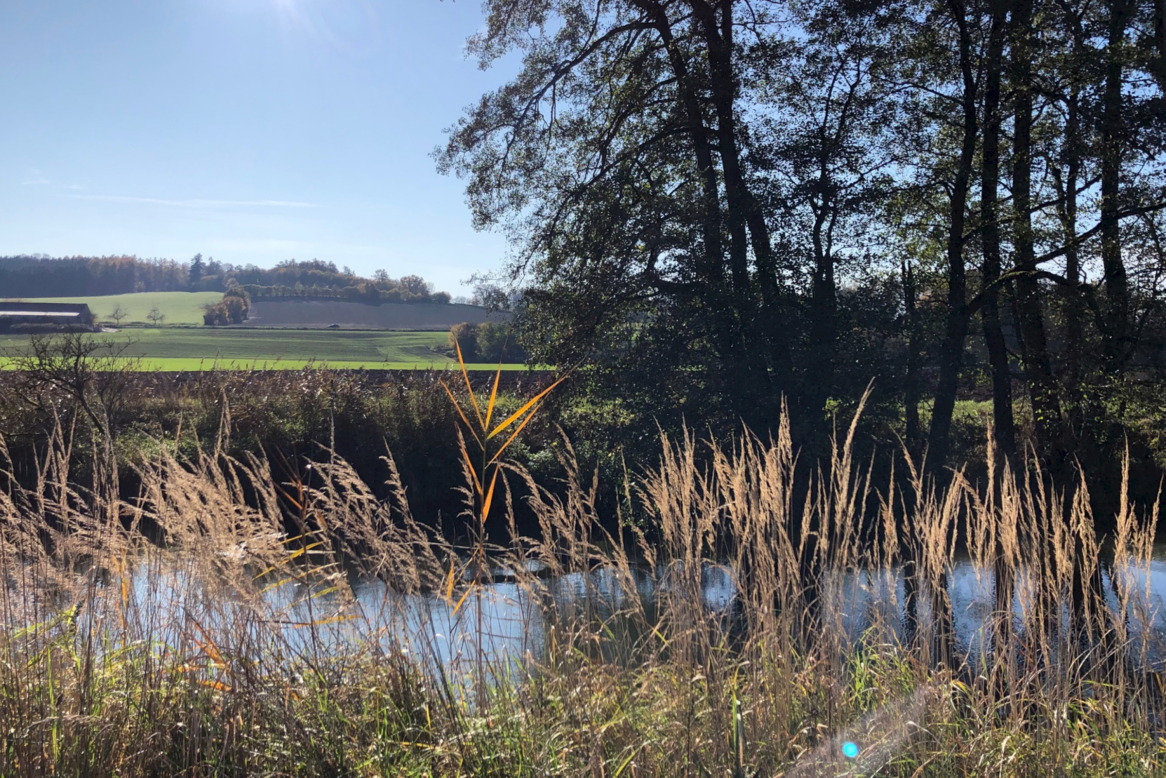 Fluss Gras Bäume Landschaft Hohenkammer Glonn