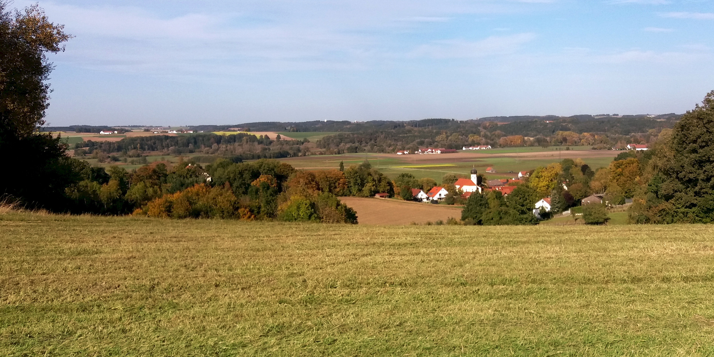 Getreidefeld Landschaft