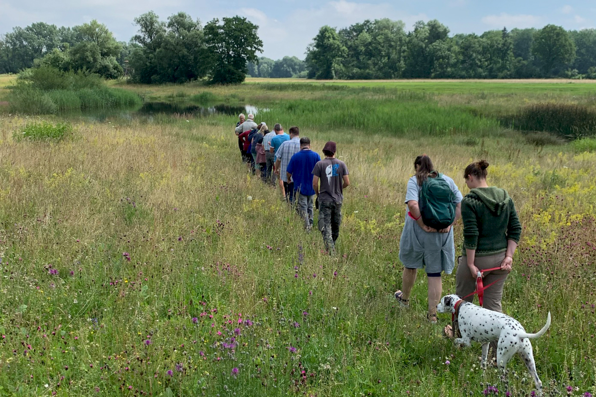 Naturschutzgebiet Besucher Blumen