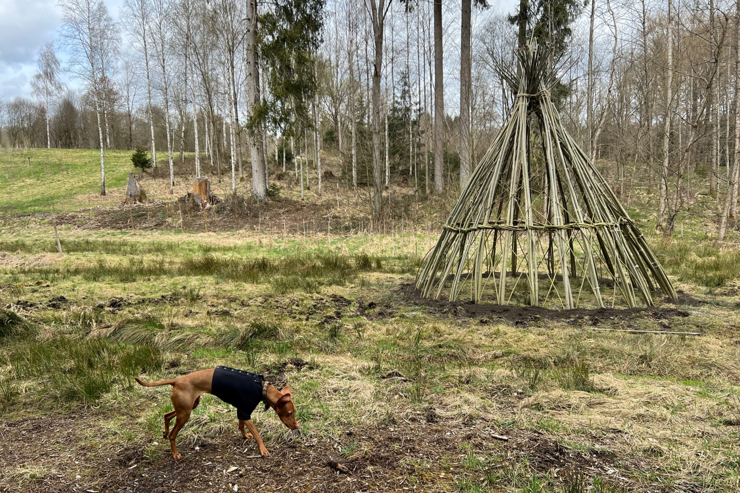Weidenschloss Weltwald mit Hund