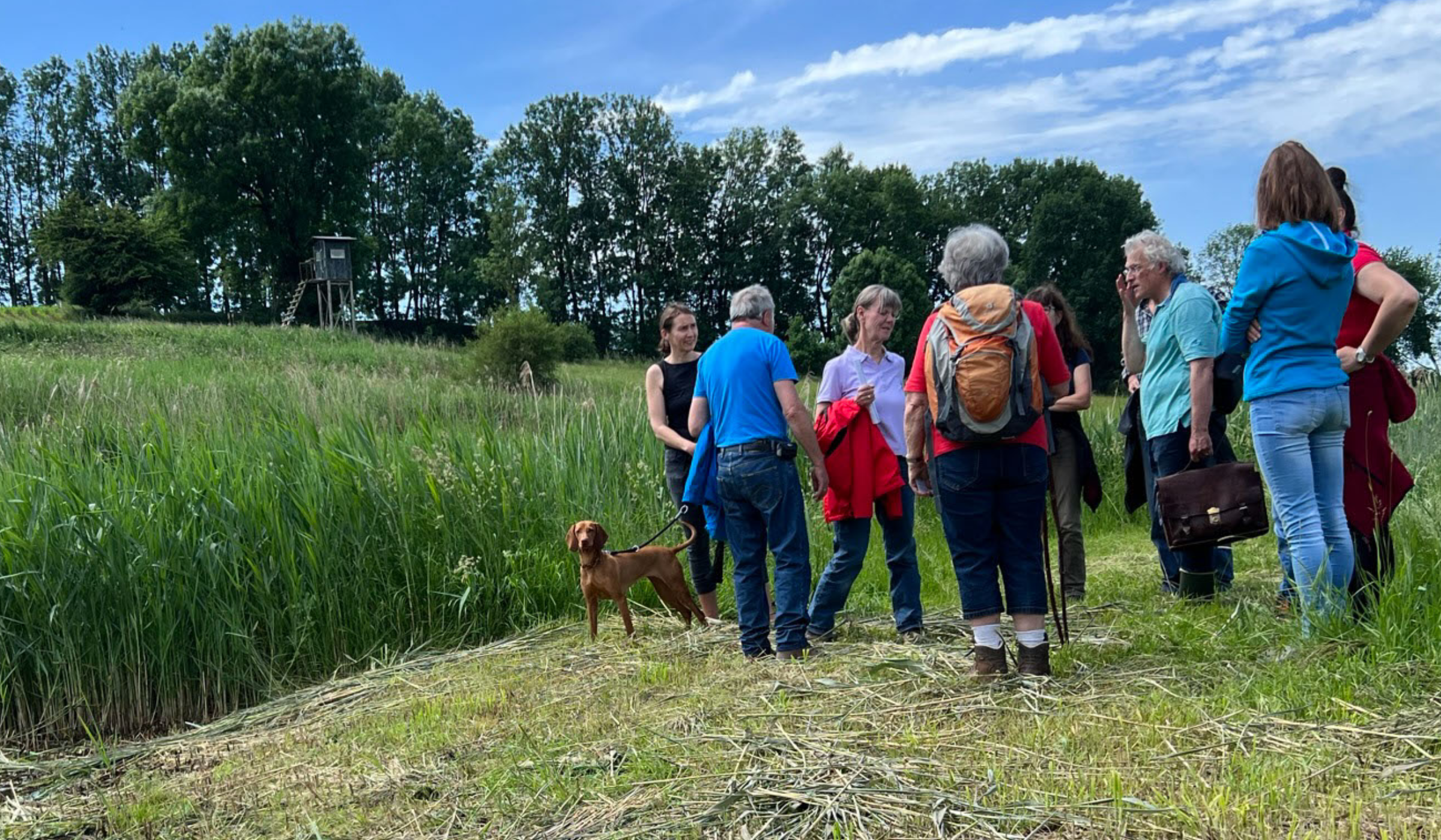 Naturschutzgebiet Quellmoore Giesenbach