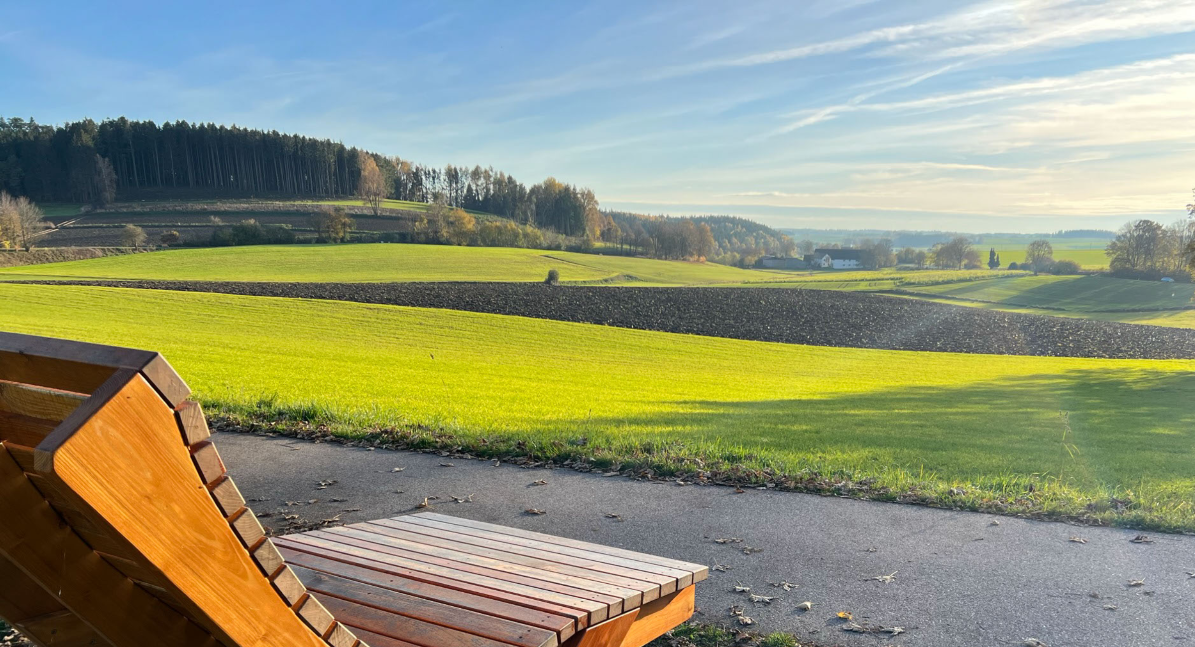 Bank mit Aussicht