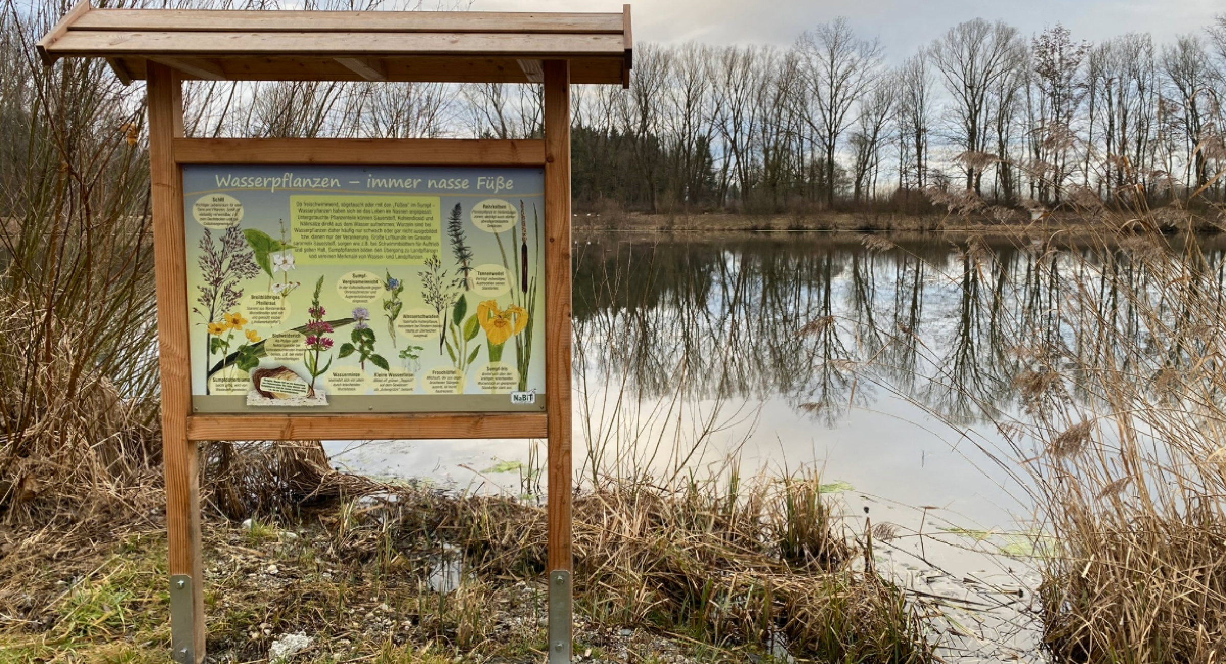 Lehrpfad am Weiher