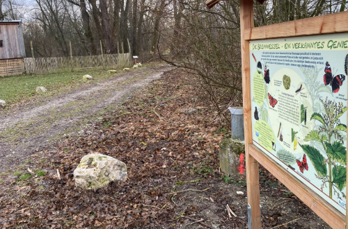 Die Biberbande am Naturlehrpfad