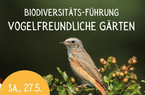 Biodiversität Vogel