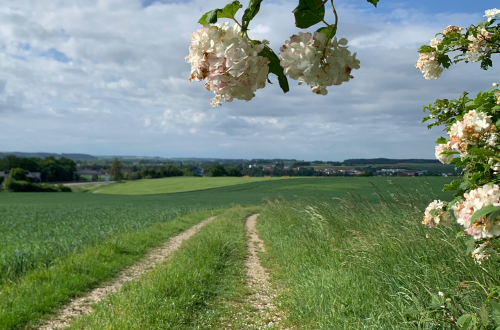 KI generiertes Landschaftsbild